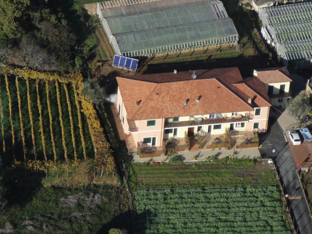 Agriturismo Le Collinette Villanova d'Albenga Exterior foto